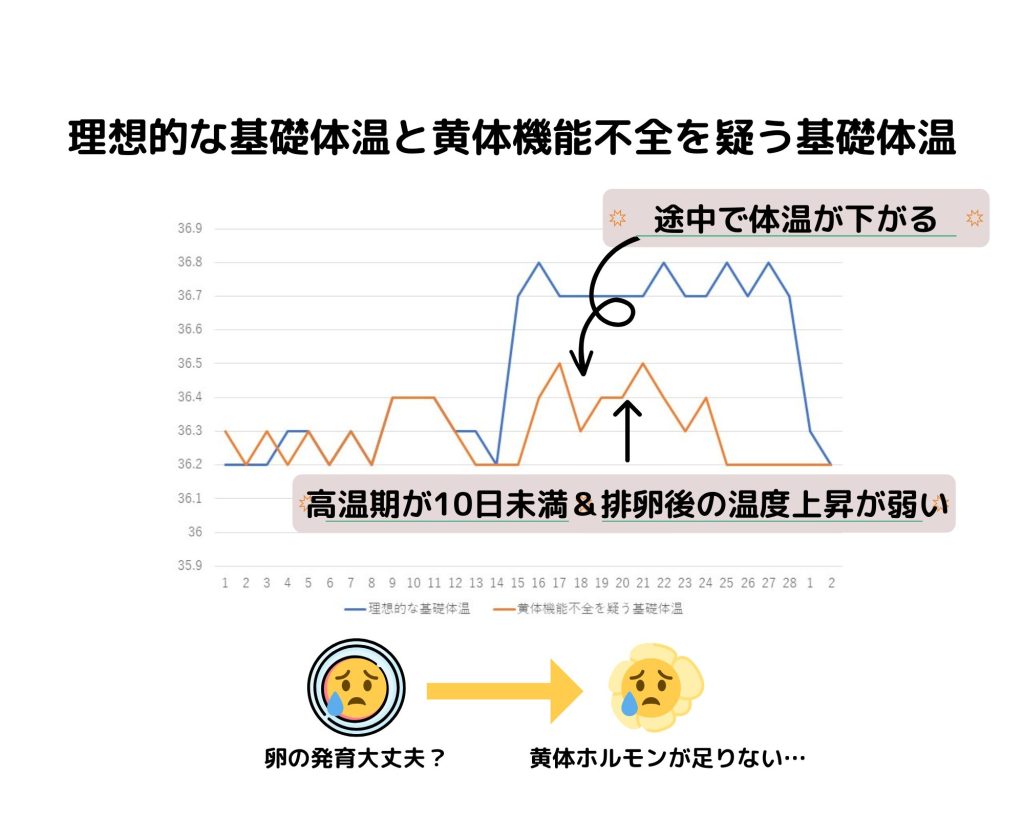 理想的な基礎体温と黄体機能不全を疑う基礎体温